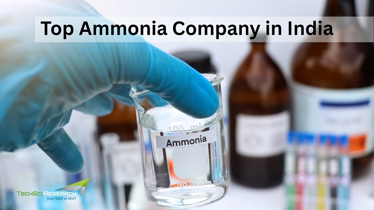 Top Ammonia Company in India